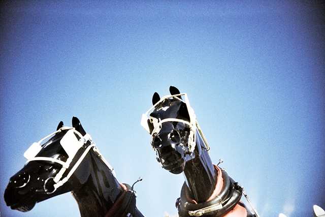 Juguete de dos caballos con orejeras